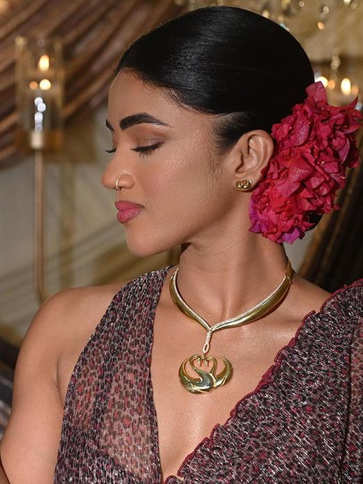Jewellery - Swan Chocker, Earrings