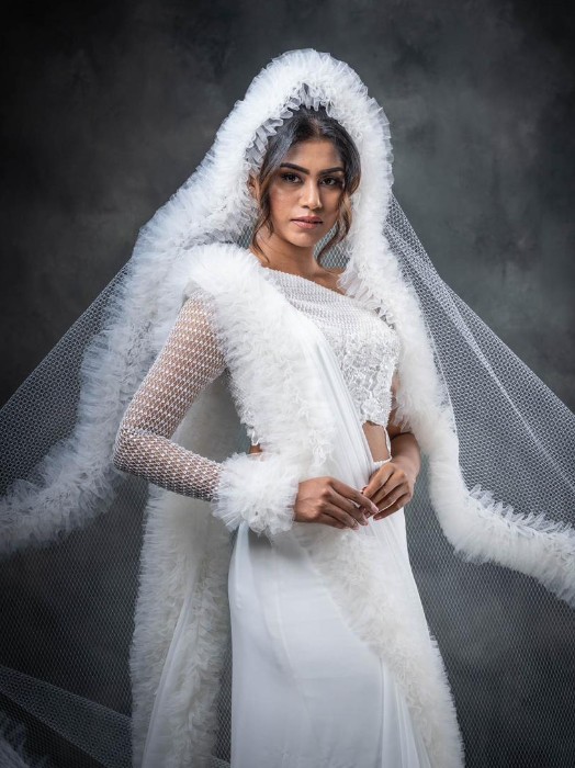 Saree with feathered Trims